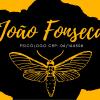 João Matheus Fonseca Pereira