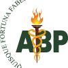 Psicanalista Membro da ABP - Associação Brasileira de Psicanálise. Nº de registro: 10.256.