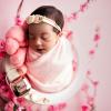 Ensaio recém - nascido realizado em Belém PA - Fotógrafa Katharine Vaz