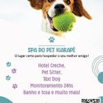 Spa Do Pet Igarapé