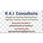 Raj Consultoria