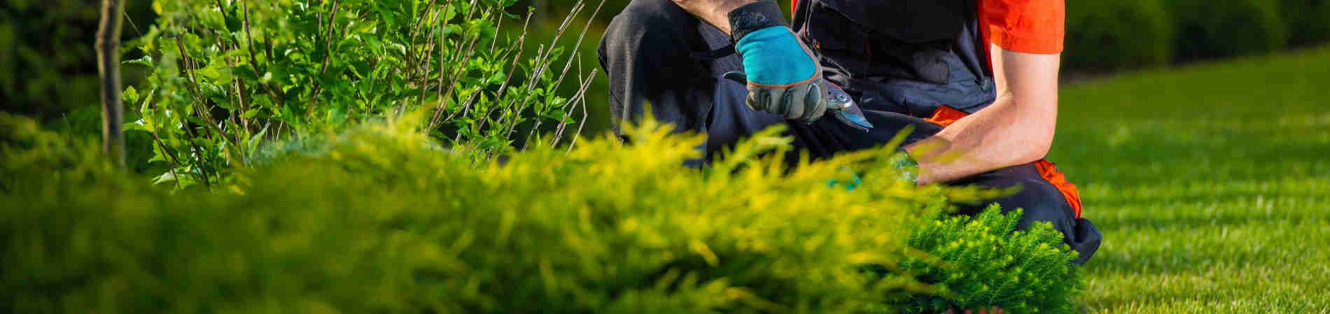 Instalador de Sistema de Irrigação