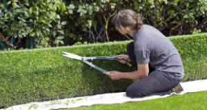 Quanto custa manter um jardim? | Preços de um jardineiro por horas em 2025