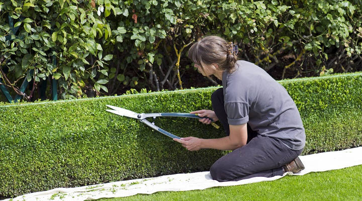 Quanto custa manter um jardim?