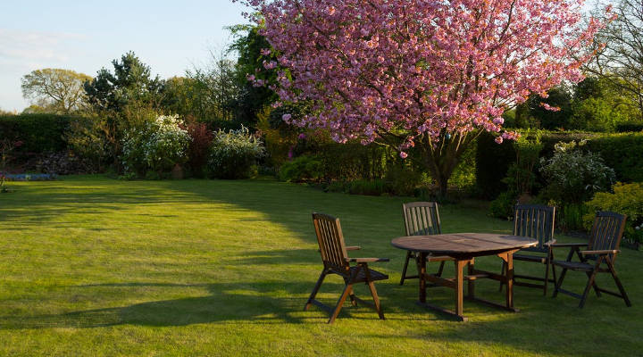 Quanto custa fazer um jardim? Tipos e preços atuais