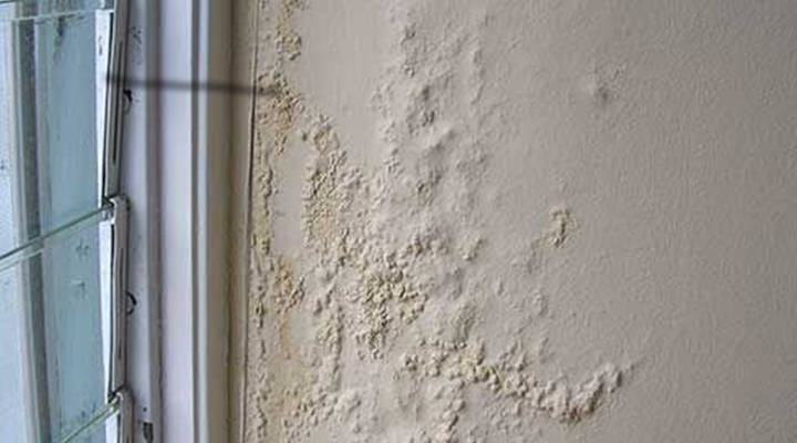 Quanto custa retirar mofo das paredes?