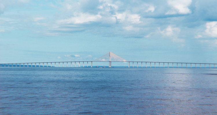 Arquitetura de Manaus