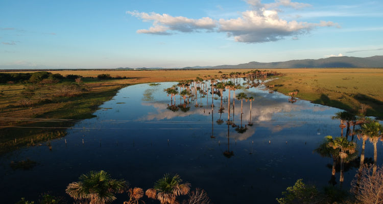 Quanto custa um projeto de arquitetura em Boa Vista