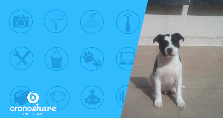 Profissional de Destaque - Dog Walker Leo - Passeador de cães