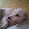 Claudia