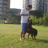 Diocao Adestramento