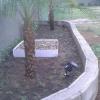 Elisios Jardins