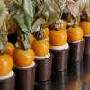 Copinho de Physalis