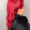 Ponytail elegante