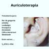 Auriculoterapia