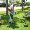 ROHI MULTISSERVIÇOS ROÇADA DE TERRENO, SÍTIO, CHÁCARA. JARDINAGEM / PODAS DE PEQ ARVORES / LIMPEZA DE TERRENOS  EM GERAL