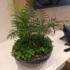 Bastos Jardinagem