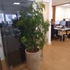 Bastos Jardinagem