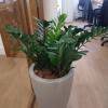 Bastos Jardinagem