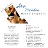 Leo Mendes