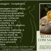 Cuidadora De Idosos Acompanhante Hospitalar E Massoterapeuta