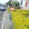 Carlosjardinagem