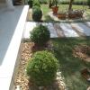 Carlosjardinagem