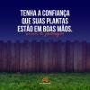 Alcantara Soluções