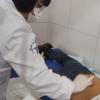 Cuidados e limpeza de ferimentos
