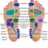 Massoterapeutait