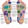 Massoterapeutait