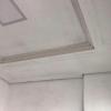 Sanca Gesso