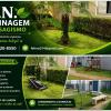 Fn Jardinagem E Paisagismo