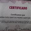 Sandra Dos Santos Pedro Sartori Leonel