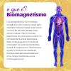 Biomagnetismo 