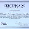 Certificado Workshop 