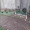 L S Jardinagem E Paisagismo