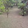 L S Jardinagem E Paisagismo