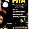 Pita Instrs Musicais