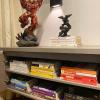 Organização Livros e Decoração (Pós Mudança)