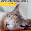 Detetive Foxbrasil
