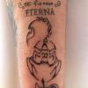 Tatuadorailustradora