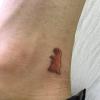 Tatuadorailustradora