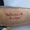 Tatuadorailustradora