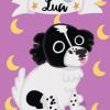 Encomenda cachorrinha