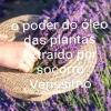 Socorro