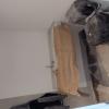 Antes 