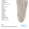 Reflexologia 