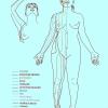 Acupuntura 