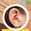 Auriculoterapia 